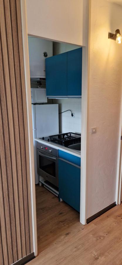 Appartement Saint Lary - Pla D'Adet - Aux Pieds Des Pistes المظهر الخارجي الصورة